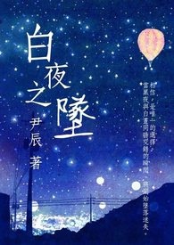 白夜追凶小说